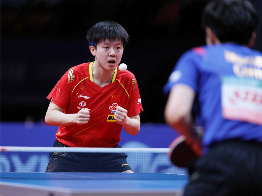 环节都在展 环节都在展